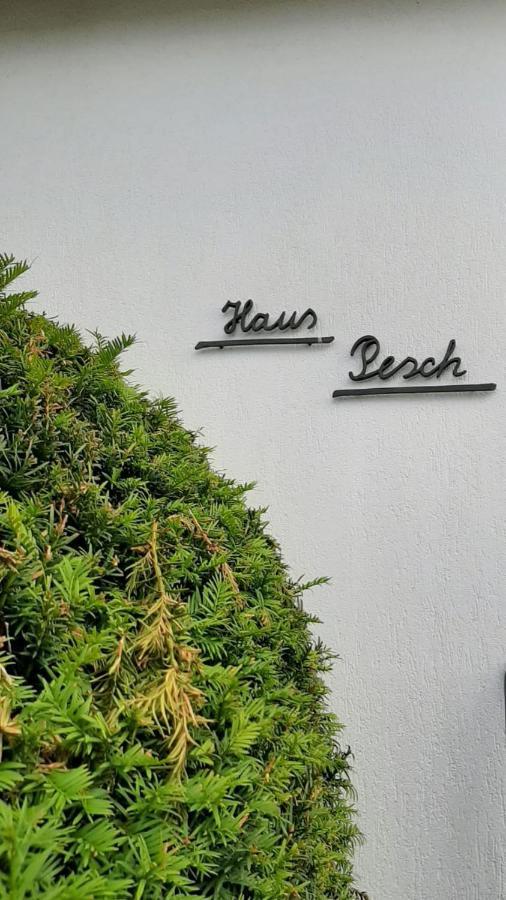 Vulkaneifel Haus Pesch Brockscheid